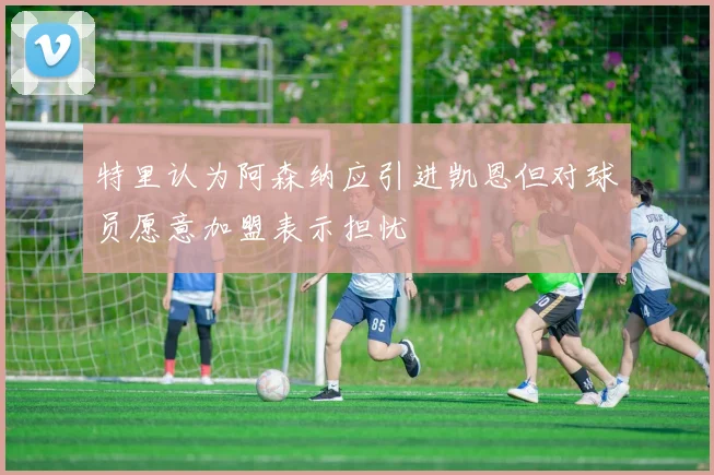 特里认为阿森纳应引进凯恩但对球员愿意加盟表示担忧